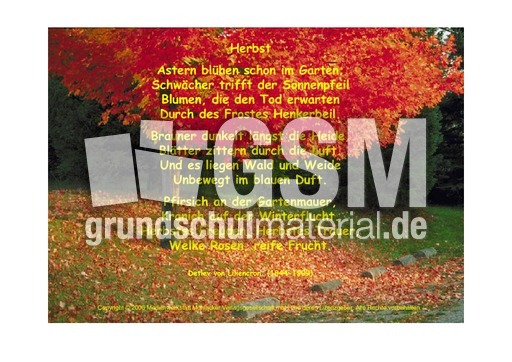 Herbst-Liliencron.pdf